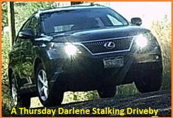 darlene-black-co-stalker-and-middle-finger-salute-driveby2c.jpg