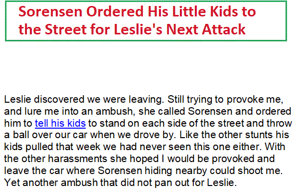 leslie-has-sorensen-put-kids-in-street-to-harass-veteran.gif