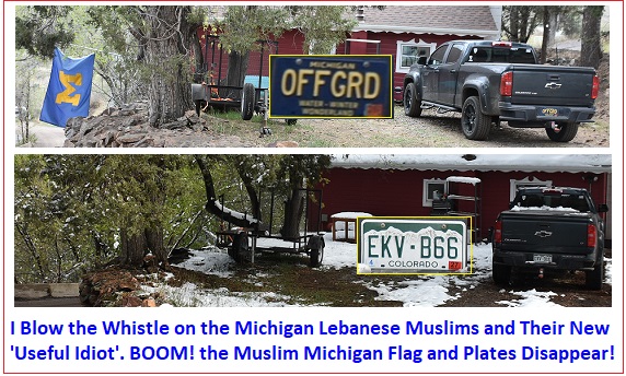 lebanese-muslims-useful-idiots-chameleons.jpg